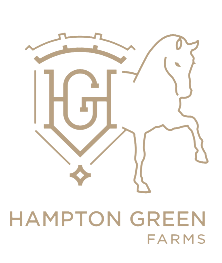 Site in construction