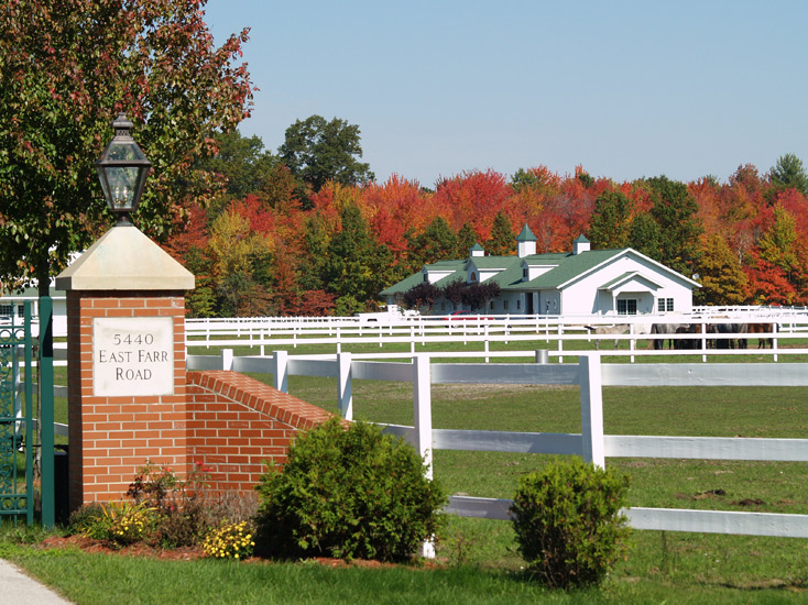 Hampton Green Farm - News article