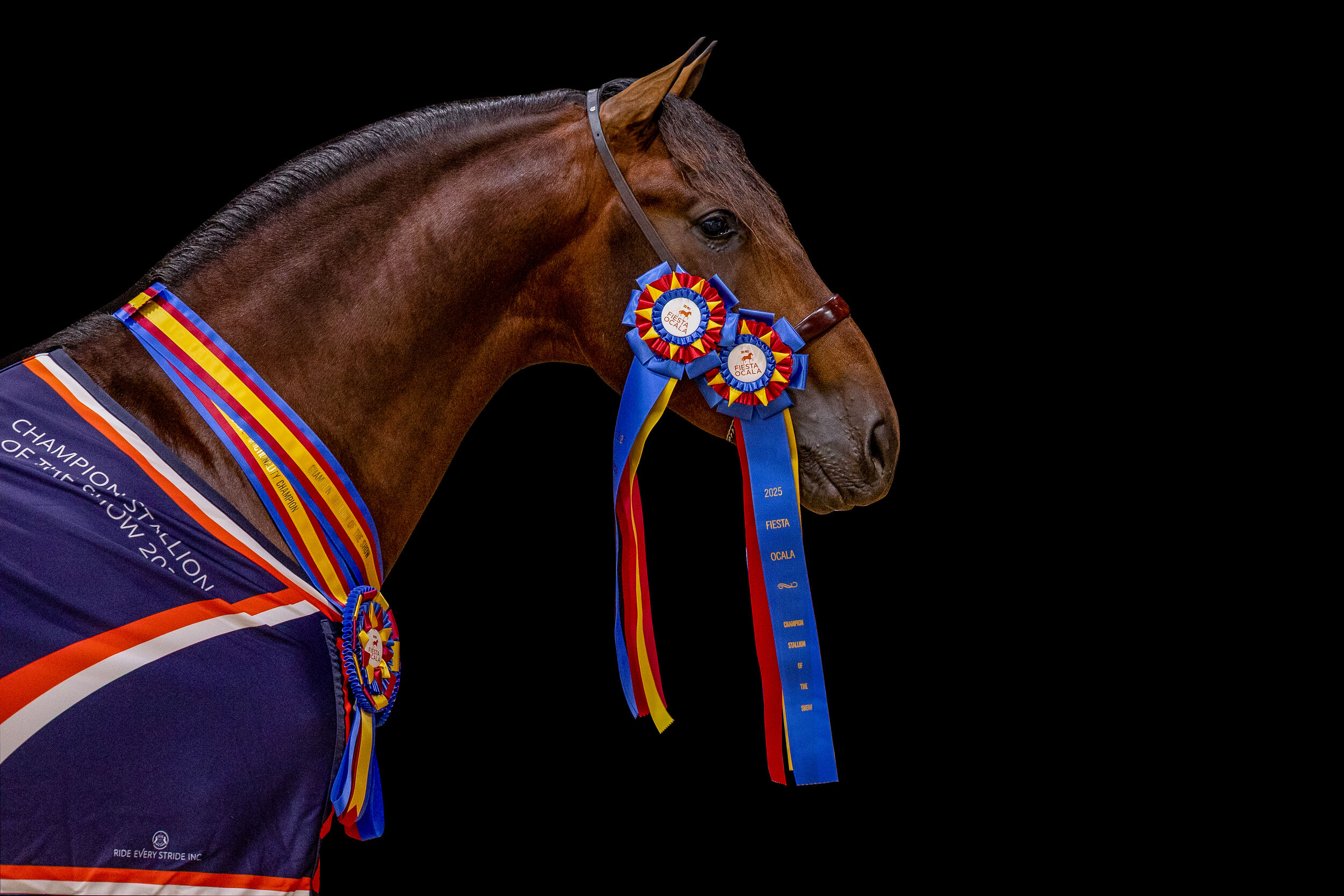 Santiago HGF Named Stallion of the Year in the United States