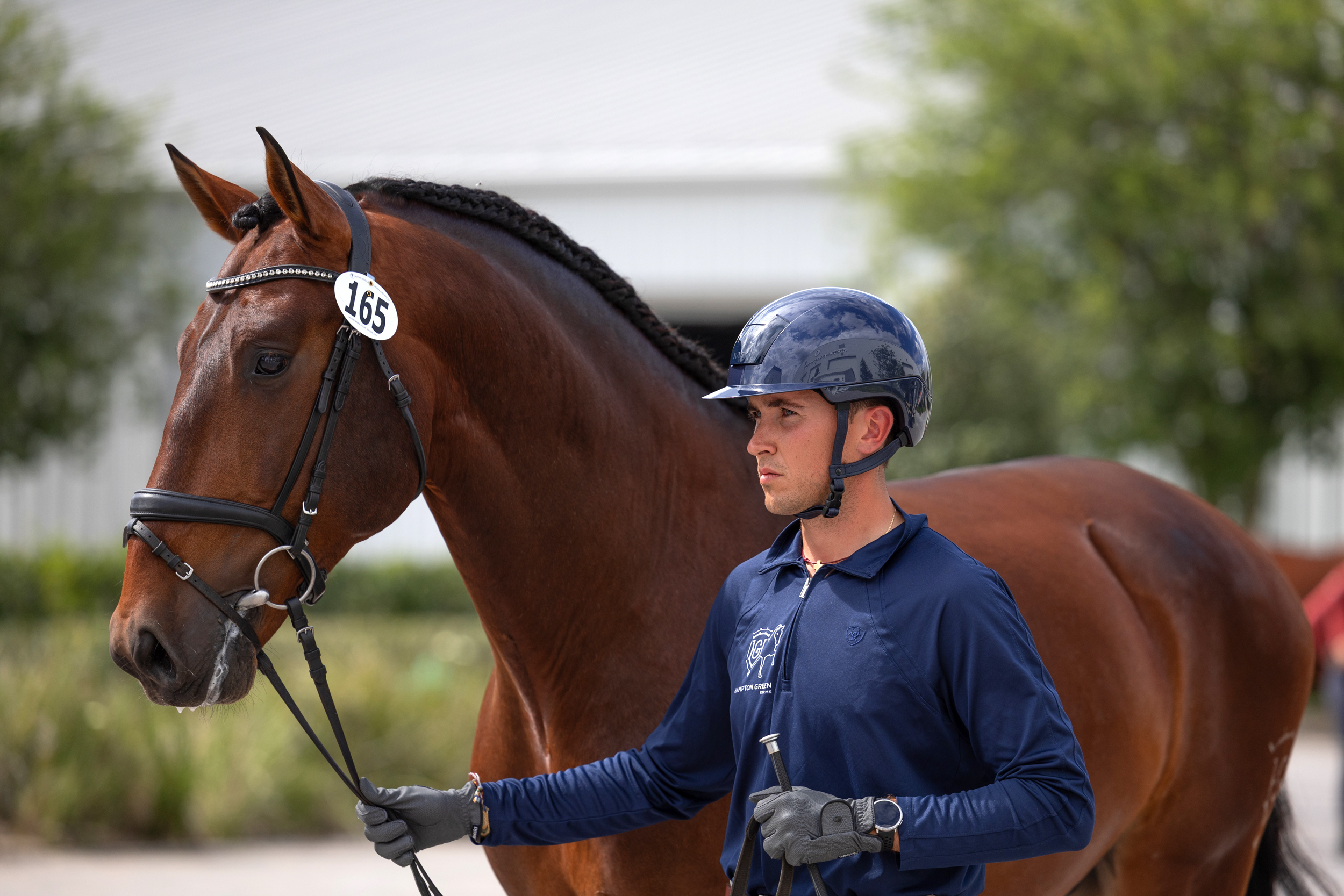 American-Bred Santiago HGF Leaves Ocala for First Euro Tour