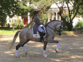 Vaquero HGF and Kerrigan Gluch Lead Team USA at Hagen Future Champions CDIOY