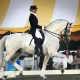 Chicks-In-Spurs Party Draws over 500 People to Support Dressage4Kids