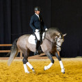 Vaquero HGF: First American-Bred Horse to Medal at SICAB