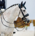 Vaquero HGF  Steps Down from Sport.